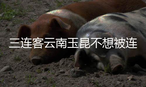 三连客云南玉昆不想被连克：再接再厉 全力以赴