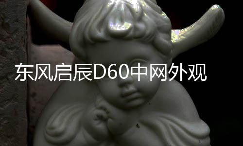 东风启辰D60中网外观改装配件D60 plus ev前脸铲保险杠专用装饰条