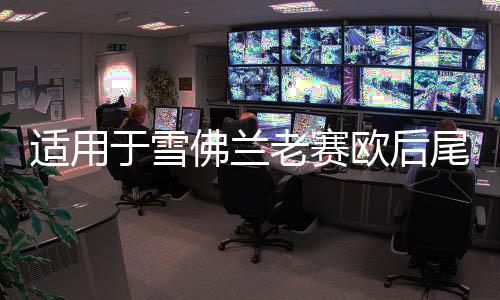 适用于雪佛兰老赛欧后尾灯总成两厢SRV旅行车后车灯倒车灯刹车灯