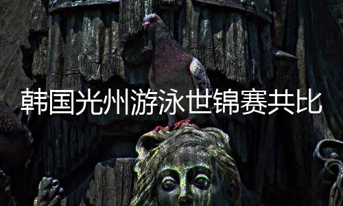 韩国光州游泳世锦赛共比赛17天 中国队派13女1男阵容