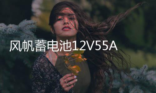 风帆蓄电池12V55AH福特55-27嘉年华翼博马自达2/3长城C30汽车电瓶