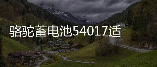 骆驼蓄电池54017适配比亚迪F0汽车54534风行SX6腾翼宝骏510电瓶