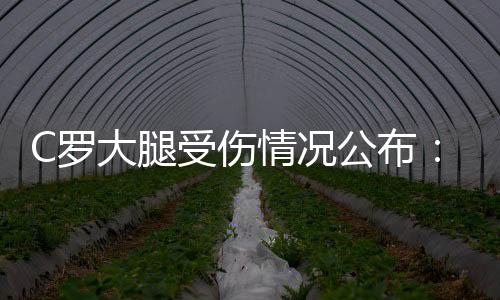 C罗大腿受伤情况公布:轻微拉伤 可在一至两周内复出
