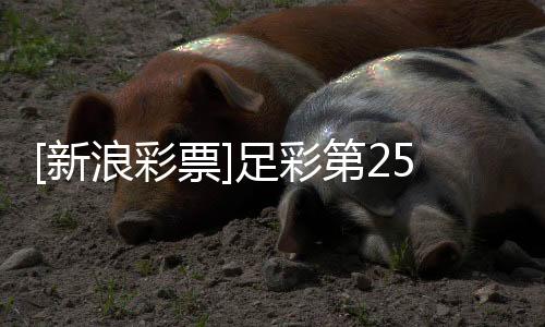 [新浪彩票]足彩第25186期任九：勒沃主胜可期